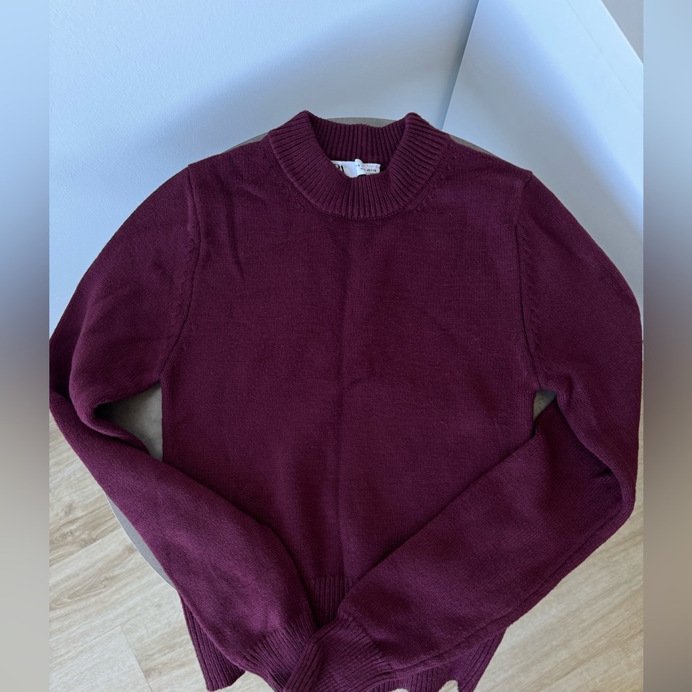 NEW Zara Sweater